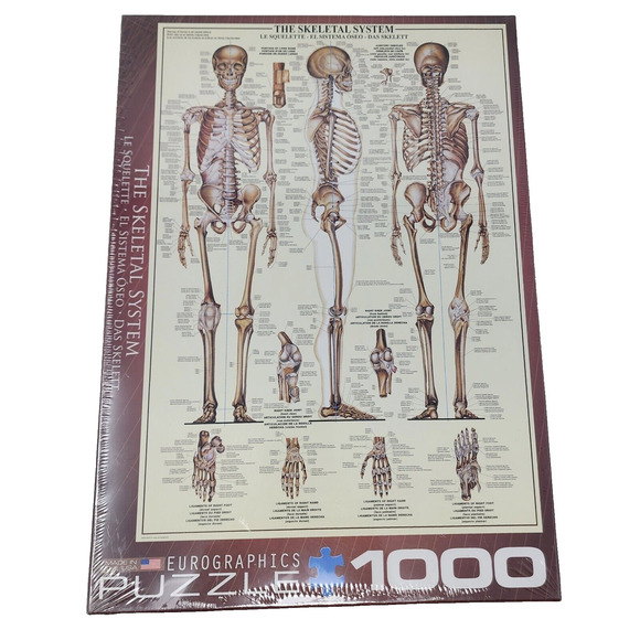 The Skeletal System Jigsaw Puzzle Eurographics 1000 Piece EG 60003970 Sealed - Picture 1 of 7
